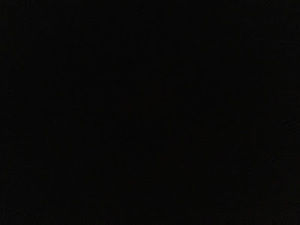 Meet your Posher, Bryan